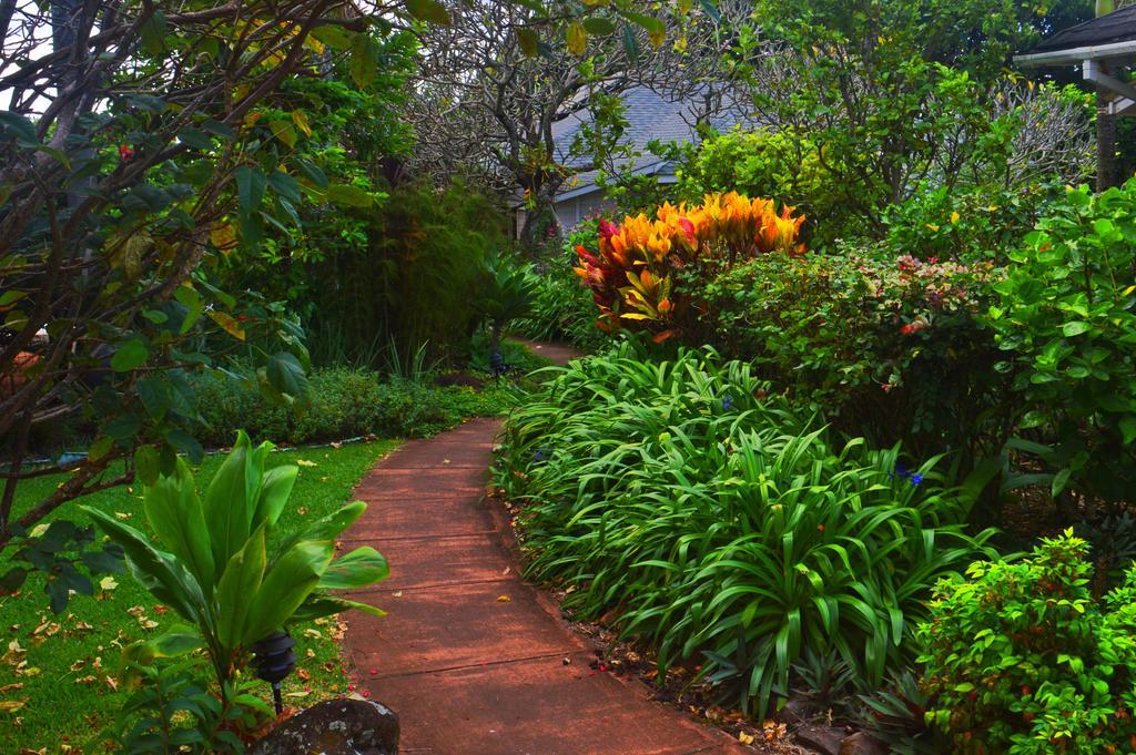 Banyan Tree B&B Retreat Makawao Exterior photo